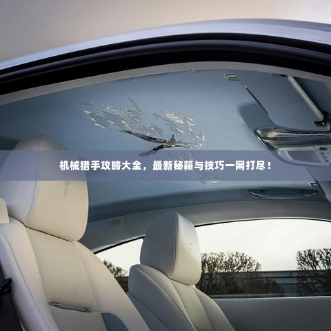 机械猎手攻略大全，最新秘籍与技巧一网打尽！