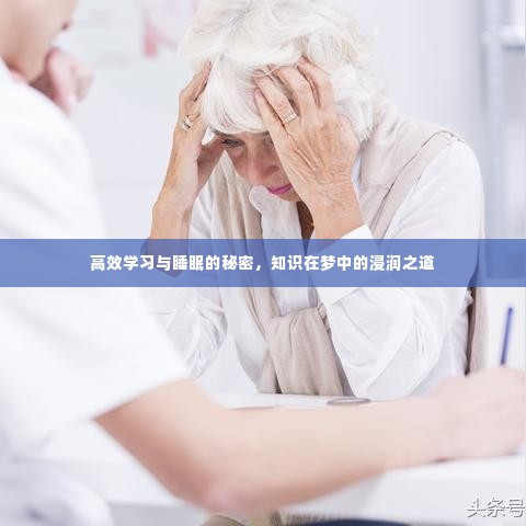 高效学习与睡眠的秘密,知识在梦中的浸润之道