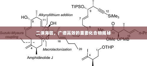 二溴海因,广谱高效的重要化合物揭秘