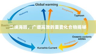 二溴海因,广谱高效的重要化合物揭秘