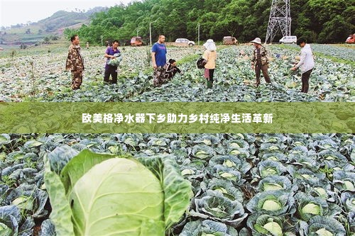 欧美格净水器下乡助力乡村纯净生活革新