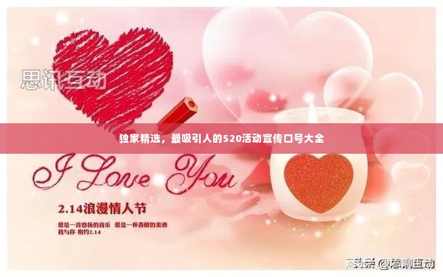 独家精选，最吸引人的520活动宣传口号大全