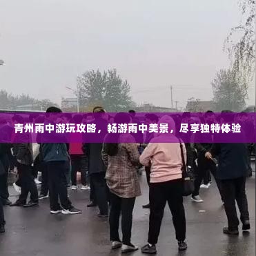 青州雨中游玩攻略，畅游雨中美景，尽享独特体验
