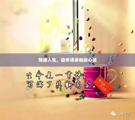 随缘人生,励志语录触动心灵