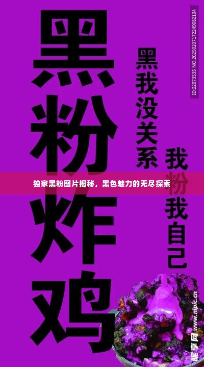 独家黑粉图片揭秘，黑色魅力的无尽探索