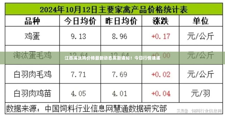 江西淘汰鸡价格最新动态更新通知！今日行情速递