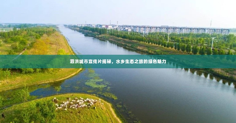 泗洪城市宣传片揭秘，水乡生态之旅的绿色魅力