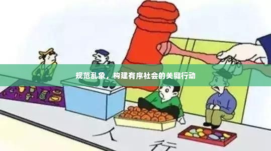 规范乱象，构建有序社会的关键行动