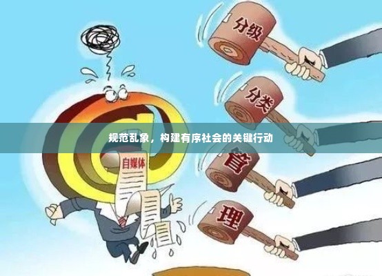 规范乱象,构建有序社会的关键行动