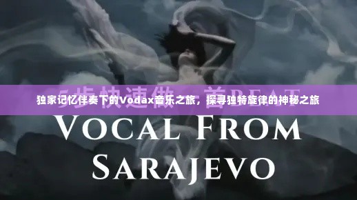 独家记忆伴奏下的Vodax音乐之旅,探寻独特旋律的神秘之旅