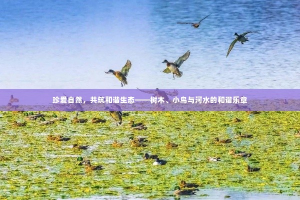 珍爱自然，共筑和谐生态——树木、小鸟与河水的和谐乐章
