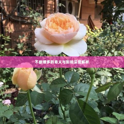 不断增多的意义与影响深度解析