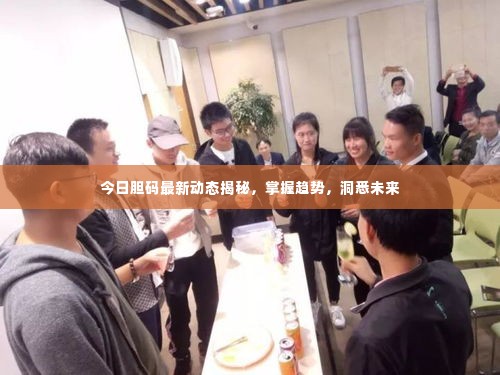 今日胆码最新动态揭秘，掌握趋势，洞悉未来