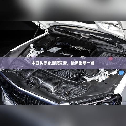 今日头等仓重磅更新，最新消息一览