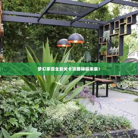 物离乡贵 第2页