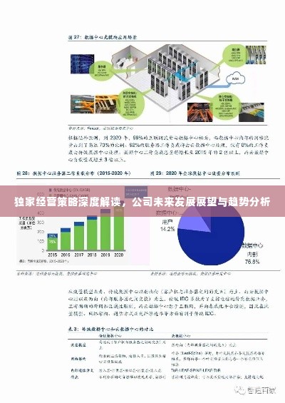 独家经营策略深度解读,公司未来发展展望与趋势分析