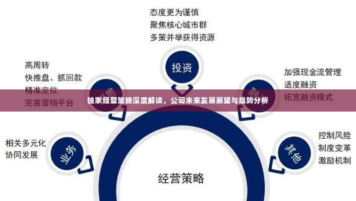 独家经营策略深度解读,公司未来发展展望与趋势分析