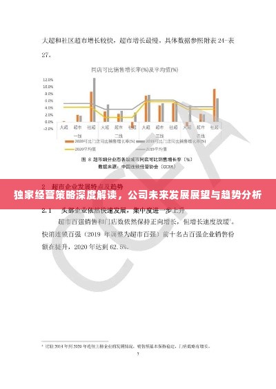 独家经营策略深度解读,公司未来发展展望与趋势分析