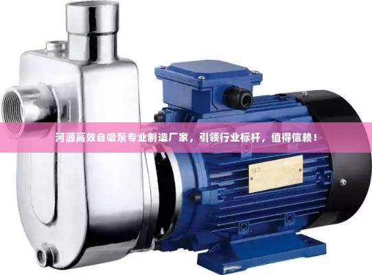 河源高效自吸泵专业制造厂家，引领行业标杆，值得信赖！