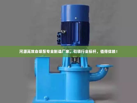 河源高效自吸泵专业制造厂家,引领行业标杆,值得信赖!