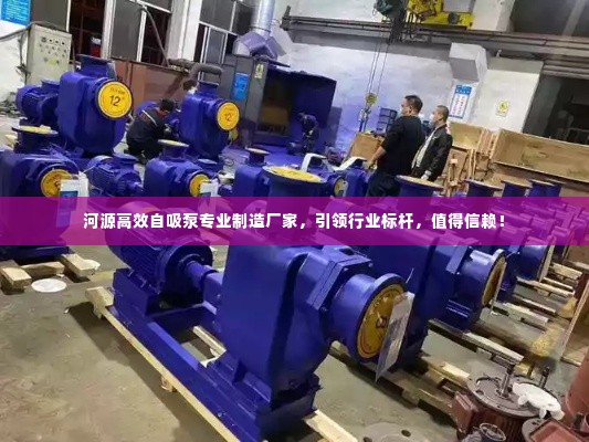 河源高效自吸泵专业制造厂家,引领行业标杆,值得信赖!