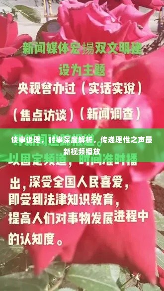 谈事说理,时事深度解析,传递理性之声最新视频播放
