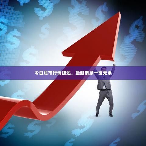 今日股市行情综述,最新消息一览无余