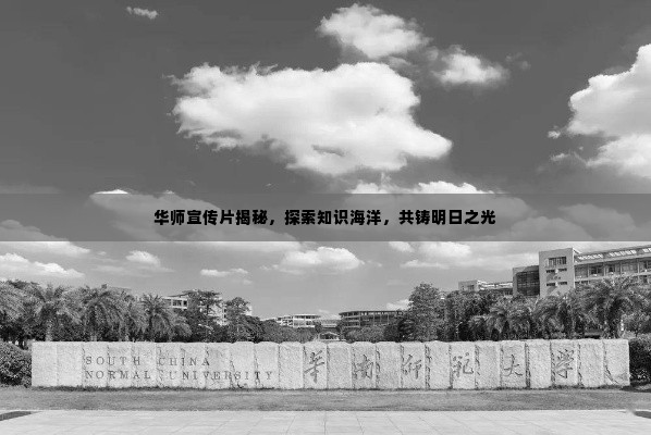 华师宣传片揭秘,探索知识海洋,共铸明日之光