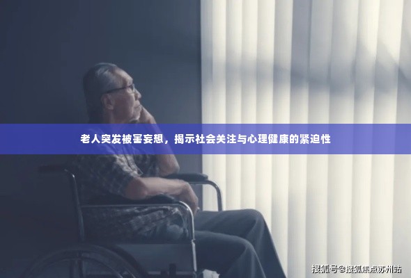 老人突发被害妄想，揭示社会关注与心理健康的紧迫性