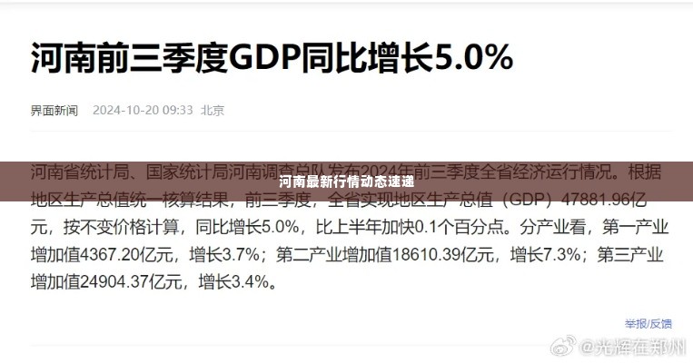 河南最新行情动态速递