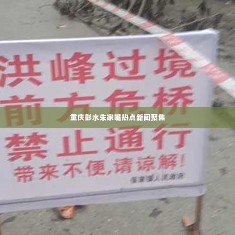 重庆彭水朱家嘴热点新闻聚焦