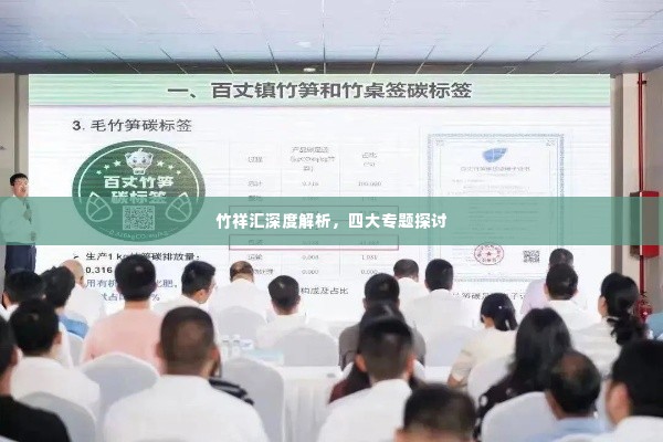 竹祥汇深度解析,四大专题探讨