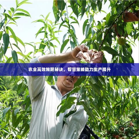 农业高效施肥秘诀，智慧策略助力生产提升