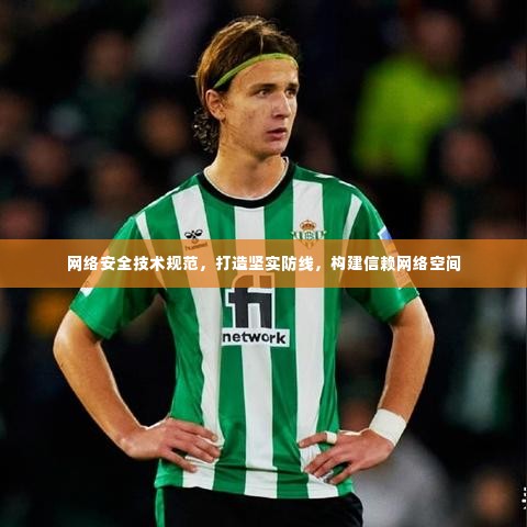 网络安全技术规范,打造坚实防线,构建信赖网络空间