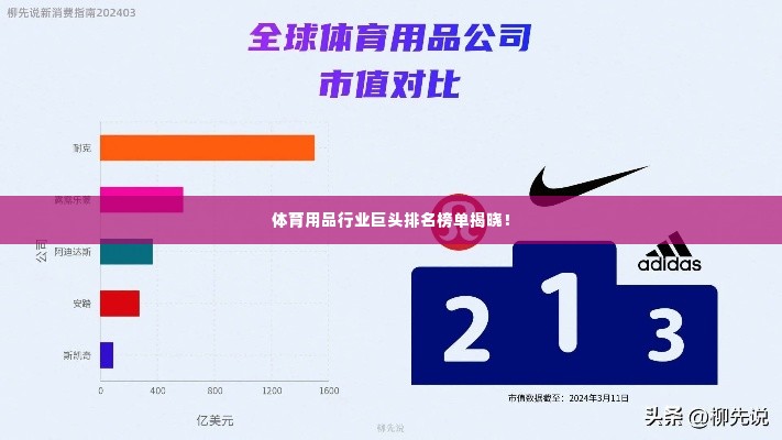 体育用品行业巨头排名榜单揭晓!