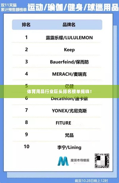 体育用品行业巨头排名榜单揭晓!