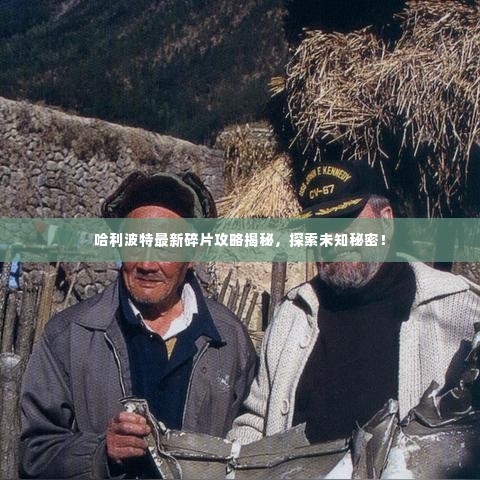 哈利波特最新碎片攻略揭秘,探索未知秘密!