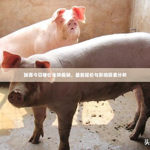 陕西今日猪价走势揭秘,最新报价与影响因素分析