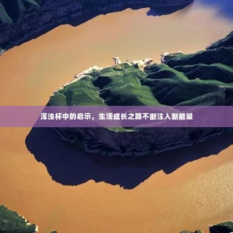 浑浊杯中的启示,生活成长之路不断注入新能量