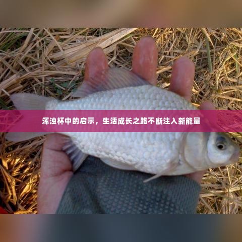 浑浊杯中的启示,生活成长之路不断注入新能量