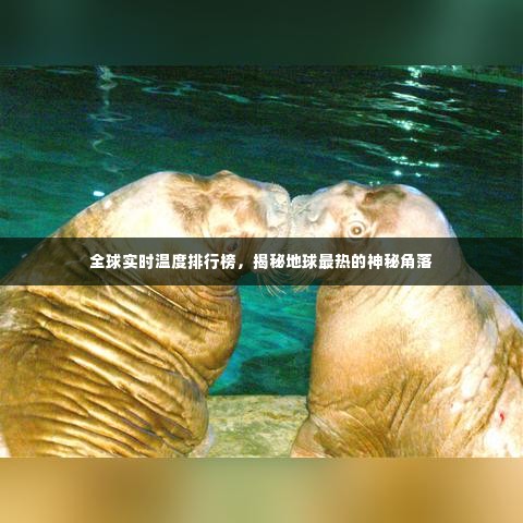 全球实时温度排行榜，揭秘地球最热的神秘角落