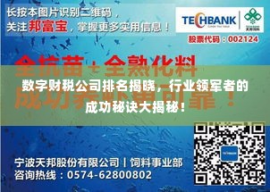 数字财税公司排名揭晓，行业领军者的成功秘诀大揭秘！