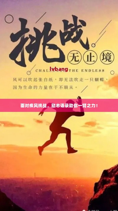 面对疾风挑战,励志语录助你一臂之力!