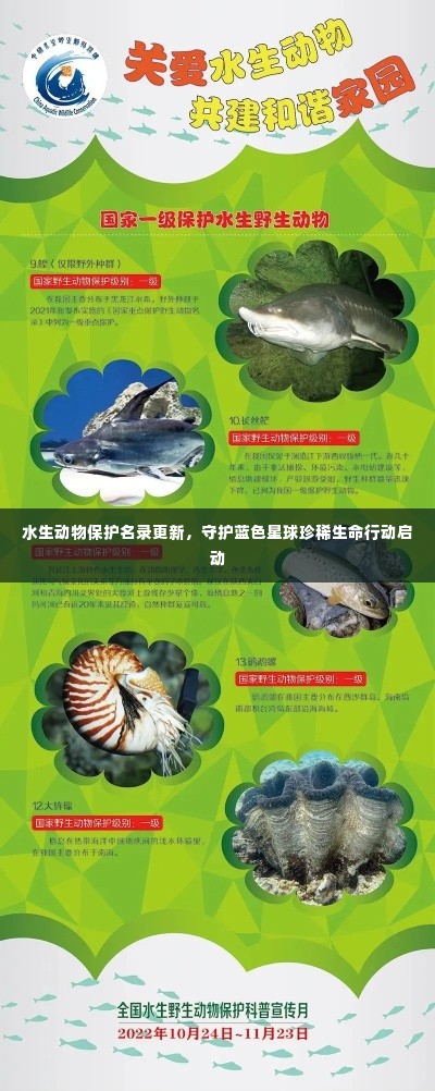 水生动物保护名录更新，守护蓝色星球珍稀生命行动启动