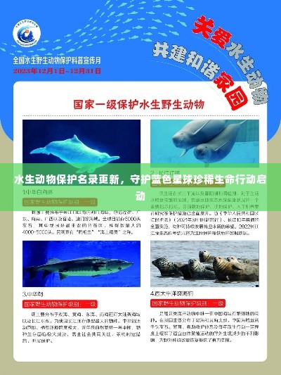水生动物保护名录更新,守护蓝色星球珍稀生命行动启动