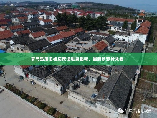 养马岛废旧楼房改造进展揭秘,最新动态抢先看!