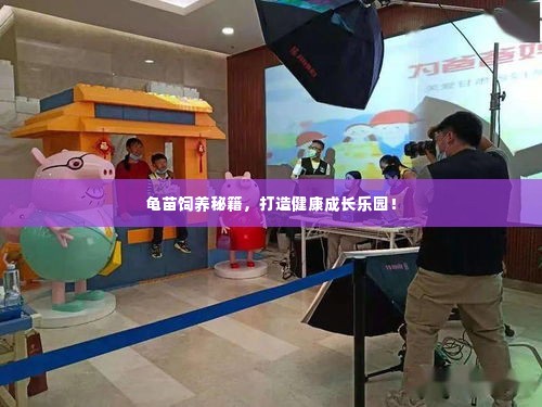 龟苗饲养秘籍,打造健康成长乐园!