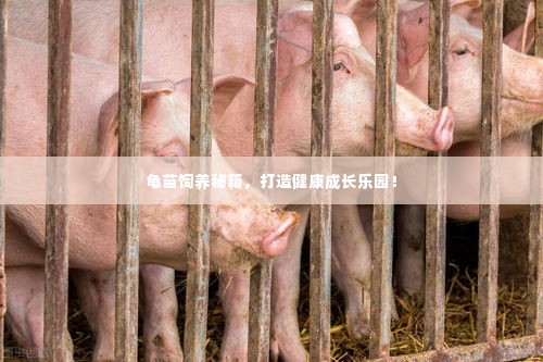 龟苗饲养秘籍,打造健康成长乐园!