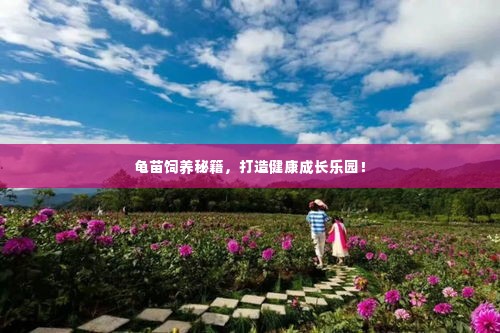 龟苗饲养秘籍,打造健康成长乐园!