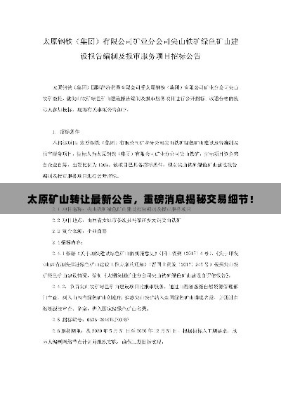 太原矿山转让最新公告,重磅消息揭秘交易细节!
